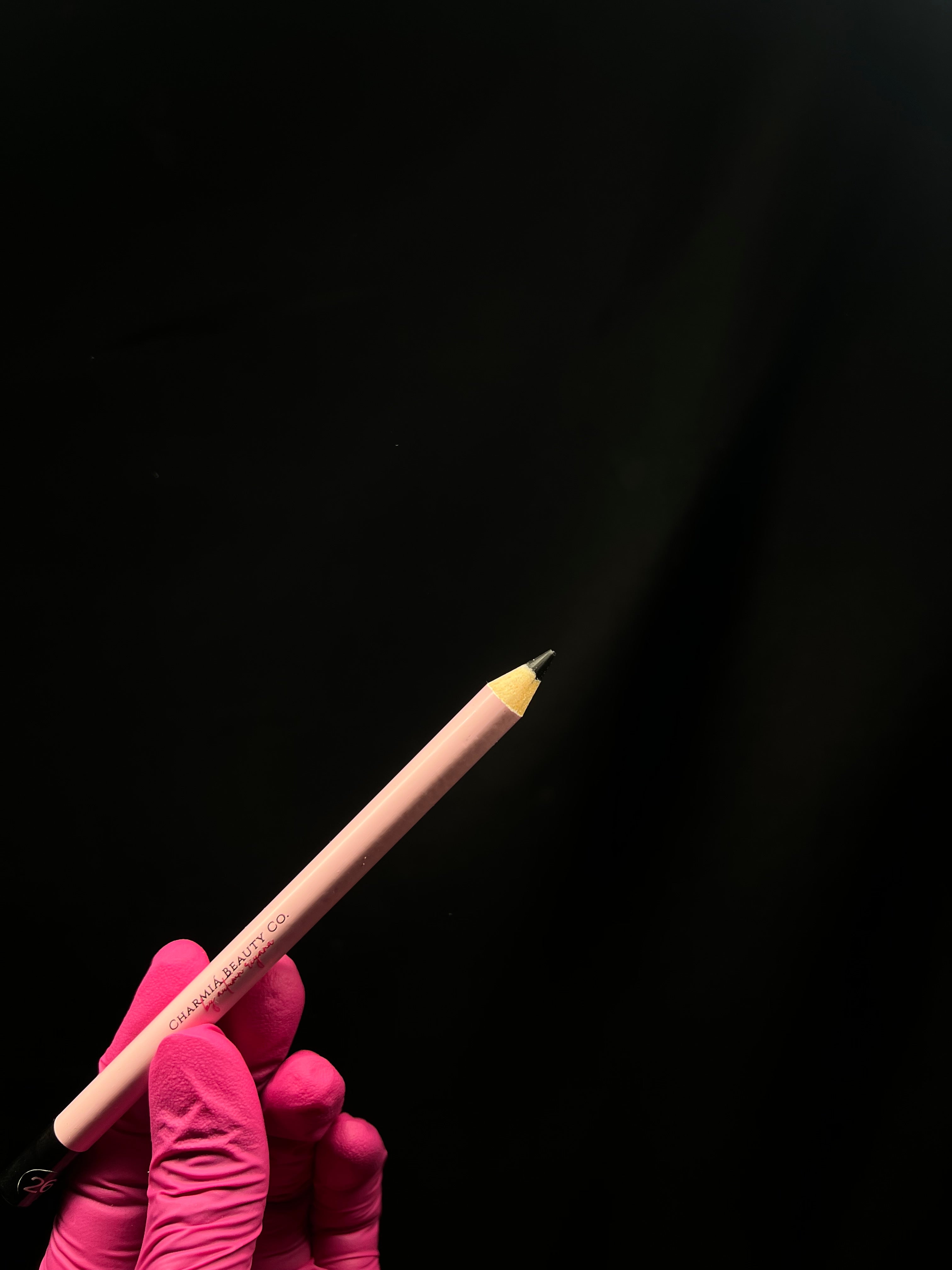 LIP LINER - NOIR DESIRE