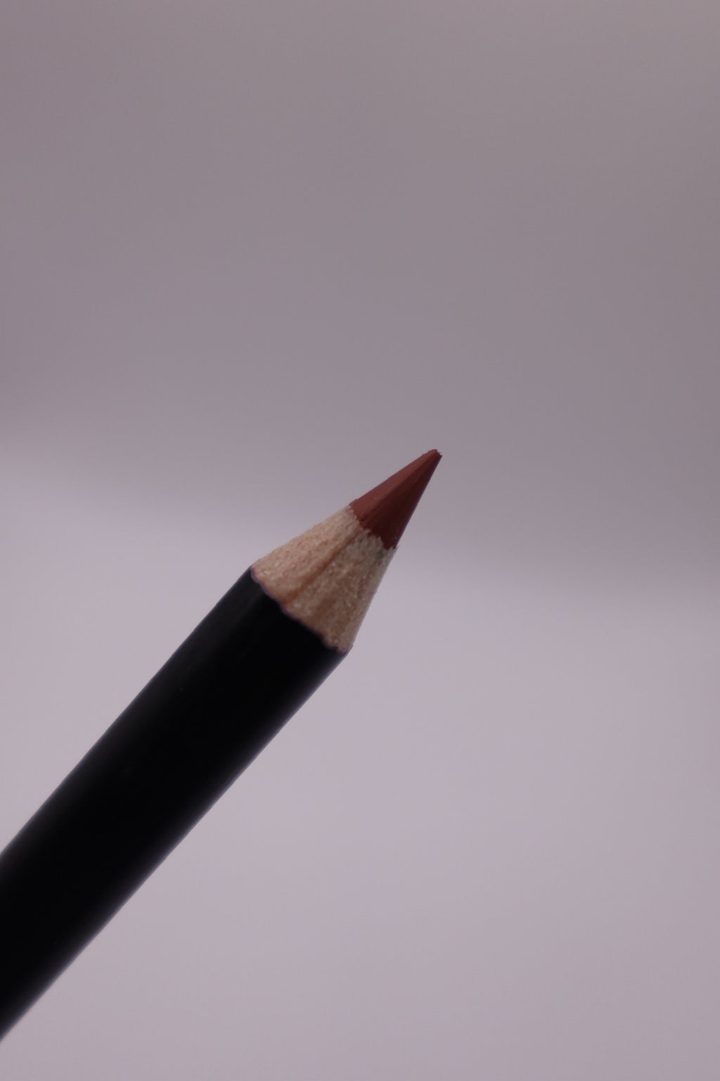 Fortune Cookie Lip Liner