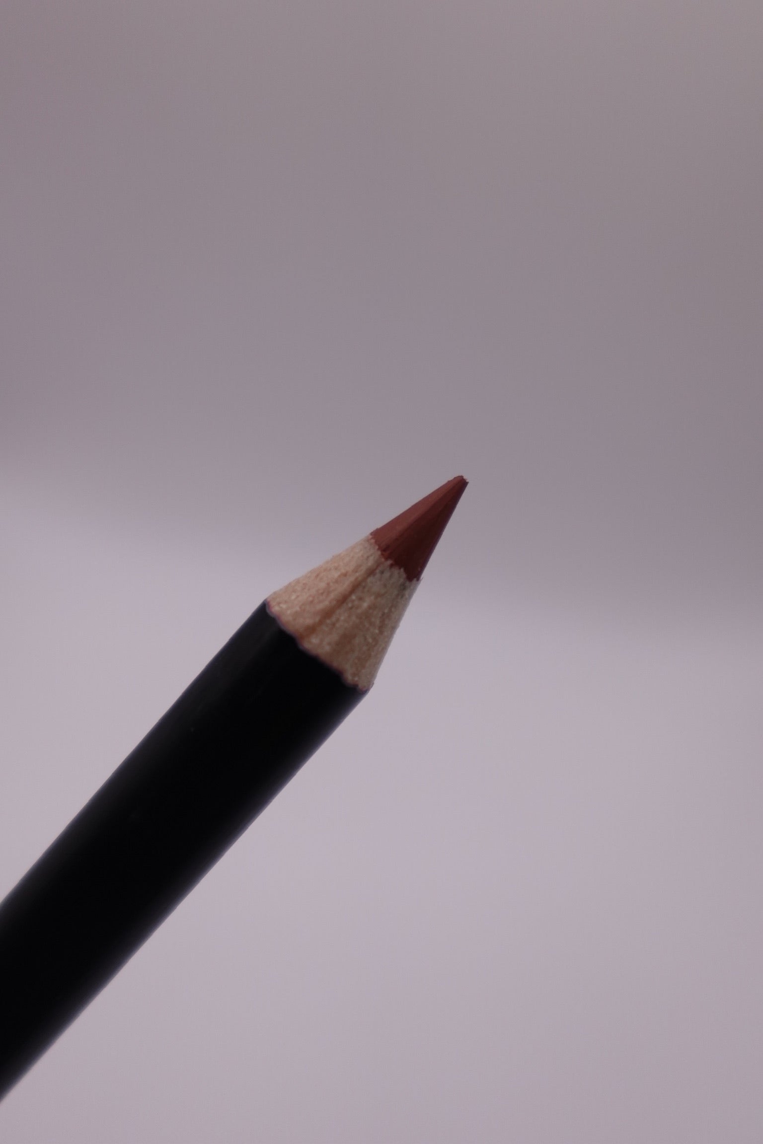 Fortune Cookie Lip Liner